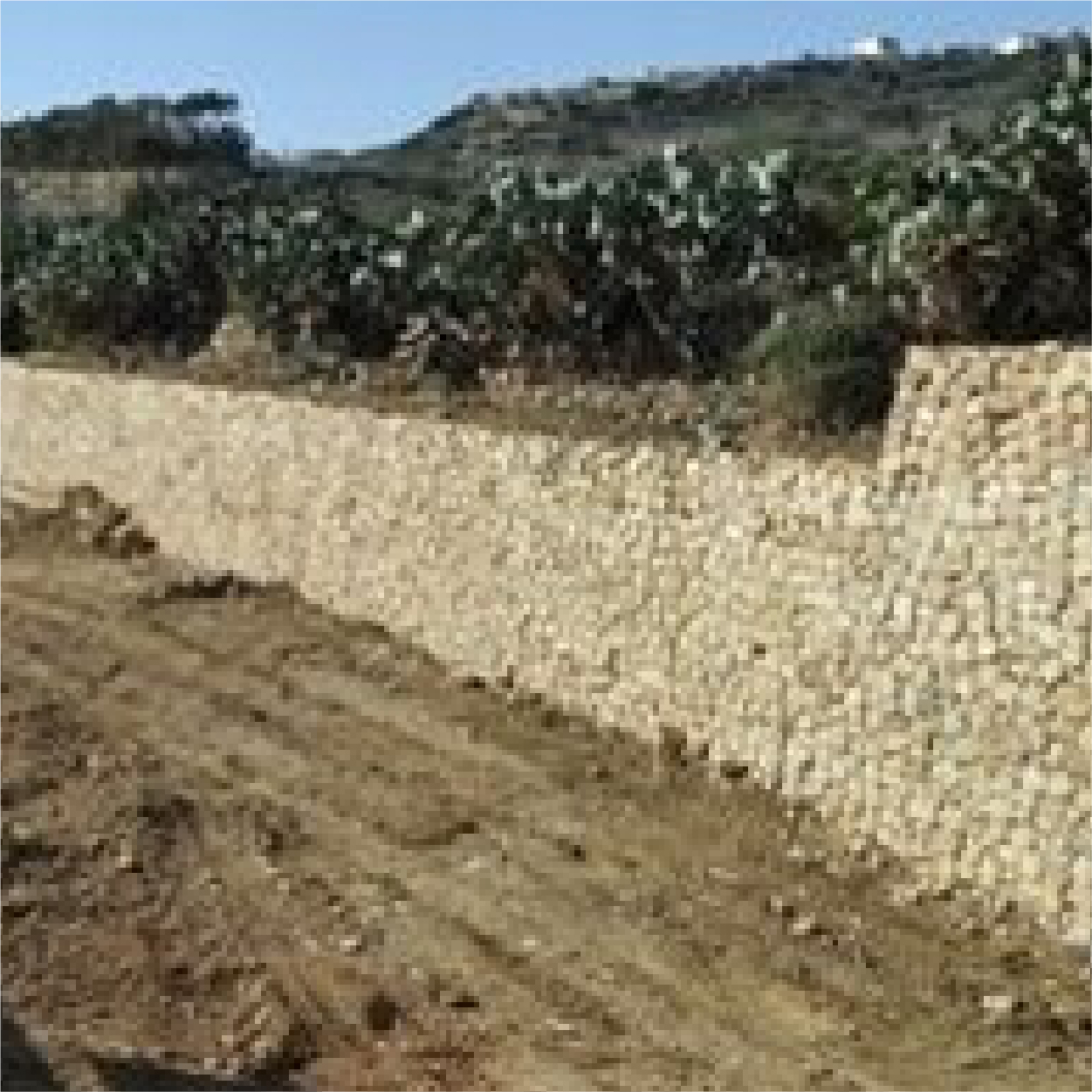 Rehabilitation of rubble walls in Ramla l Hamra